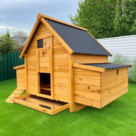 CHICKEN HOUSE(BIG)