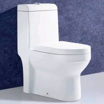 S TRAP TOILET