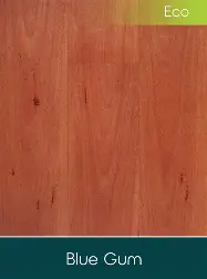 Ordinary Door(bluegum)