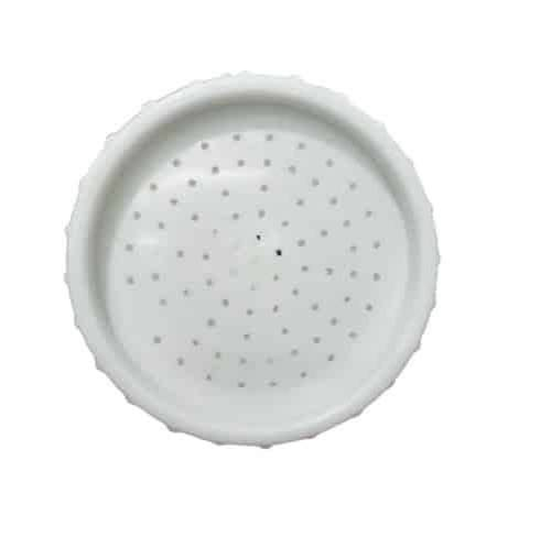 SHOWER ROSE WHITE